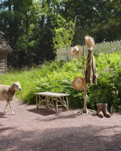 Images Shw1101_11.jpg